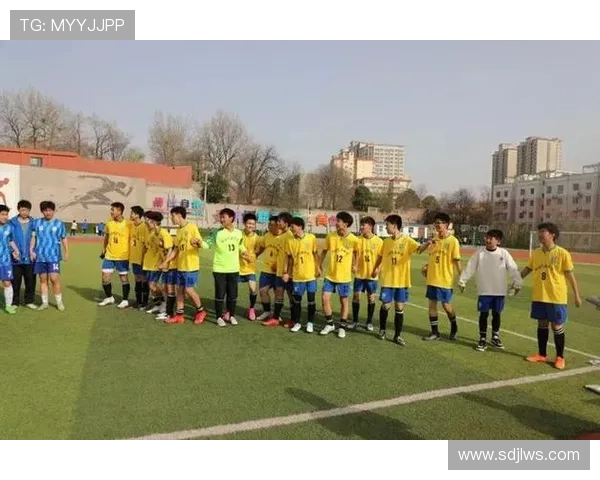 西安足球队战术引发热议球迷与专家各执己见探讨球队未来发展方向