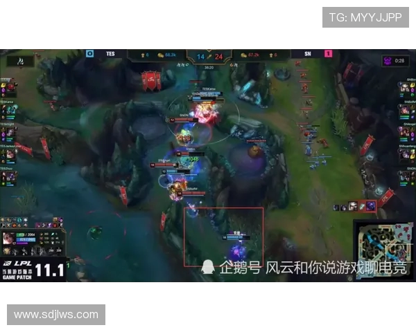 赛后复盘：WE与TES对决中的战术分析与经验总结